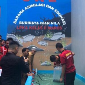 Dukung Ketahanan Pangan, LPKA Maros Gelar Pelatihan Budidaya Ikan Nila bagi Anak Binaan