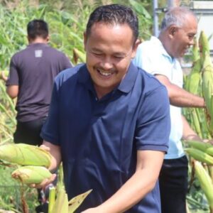 Perdana, Lapas Palangka Raya Panen Jagung