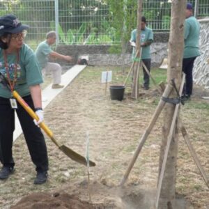 Turunkan Iklim Mikro, Kementerian PUPR Tanam 3.650 Pohon Secara Serentak