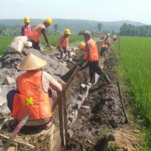 Dukung Asta Cita Swasembada Pangan, Padat Karya Irigasi Kementerian PU Tahun 2024 Jangkau 12 Ribu Lokasi