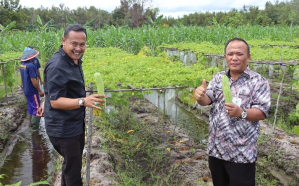 Dukung Ketahanan Pangan, Kakanwil Kalteng Tinjau Perkebunan Lapas Palangka Raya