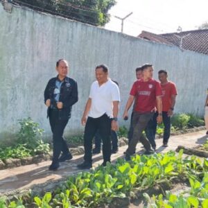 Kadiv Pemasyarakatan Kemenkumham NTB Minta Penanaman Sayur di Lapas Sumbawa Terus Digiatkan