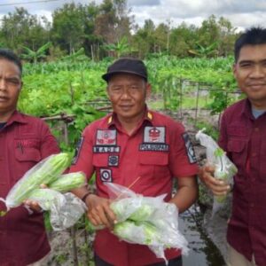 Panen 15 Kg Pare, Lapas Palangka Raya Sukseskan Pembinaan Kemandirian