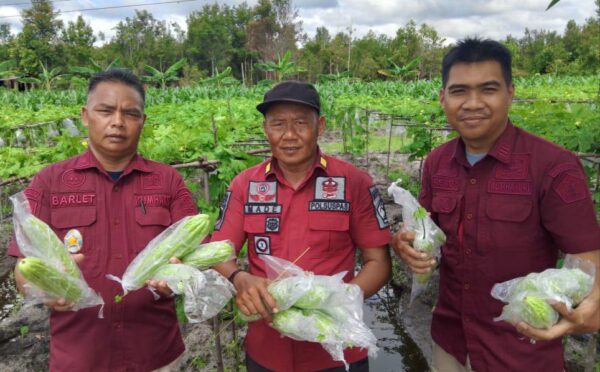 Panen 15 Kg Pare, Lapas Palangka Raya Sukseskan Pembinaan Kemandirian