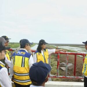 Wujudkan Visi Swasembada Pangan, Wamen Diana Tinjau Irigasi Food Estate Dadahup Kalteng