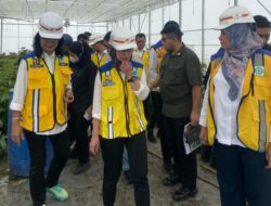 Wamen PU Tinjau Proyek TSTH2 dan Food Estate di Humbang Hasundutan, Dorong Inovasi Pertanian Berbasis Teknologi