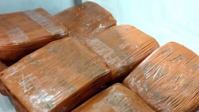 Polda Metro Jaya Sita 30 Kg Ganja di Taman Sari, Lima Kurir Dibekuk!