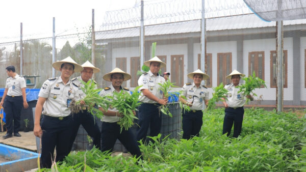 Panen Raya Lapas Pemuda Madiun hasil pembinaan warga binaan