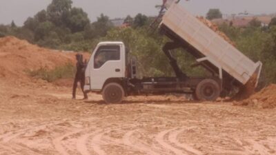 Diduga Penimbunan Hutan Mangrove Ilegal di Sagulung, BP Batam dan Aparat Diminta Turun Tangan