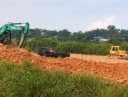 Perusakan Hutan Mangrove Batam Diduga Tanpa Izin, Publik Desak Penindakan Tegas
