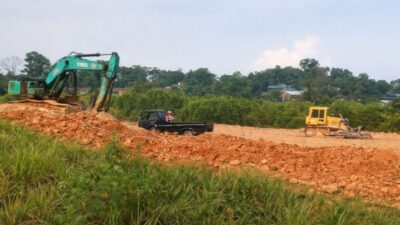 Aktivitas alat berat melakukan penimbunan di kawasan hutan mangrove Sagulung Batam.
