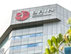 BRIN Deteksi Awal Upwelling Musim Timur 2026, Potensi Perikanan di Selatan Indonesia Mulai Meningkat