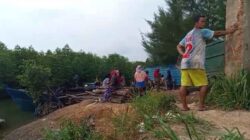 Dugaan Kayu Ilegal Masuk Lewat Pelabuhan Tikus Dapur 12 Batam, Warga Minta Aparat Lakukan Pengecekan