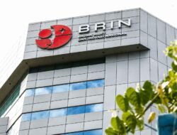 BRIN: AI dan IoT Siap Ubah Pertanian Indonesia Lebih Cerdas, Sensor hingga Prediksi Panen Jadi Andalan