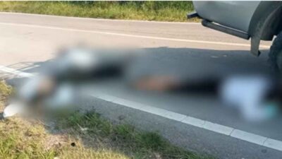 3 Pegawai Pertanian Jayawijaya Tewas Ditembak di Muliama