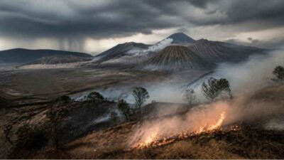Kebakaran lahan di kawasan Bromo di tengah peringatan cuaca ekstrem BMKG.