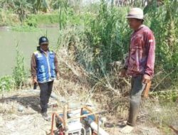 Kekeringan di Pinrang, Kementerian PU Pompa Air ke Sawah