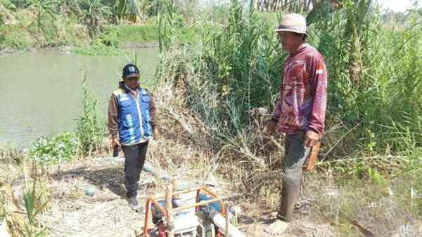 Kementerian PU melakukan pemompaan air untuk sawah terdampak kekeringan di Pinrang.